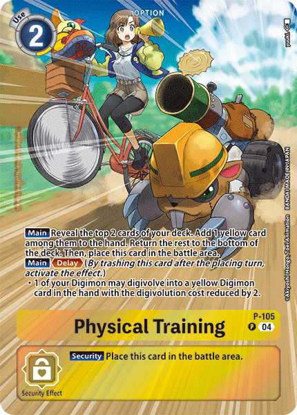 Physical Training (P-105) Alternative Art ST19