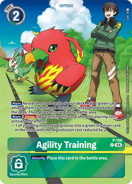 Agility Training (P-106) Alternative Art ST18